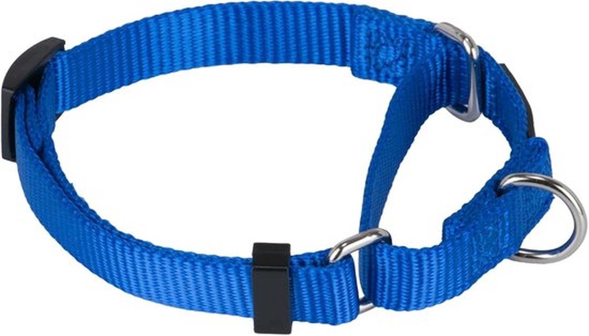 SnelShoppen - Duurzame Nylon Hondenhalsband - Verstelbaar voor Kleine, Middelgrote en Grote Honden - Lichtblauw - Perfect voor Training en Dagelijks G