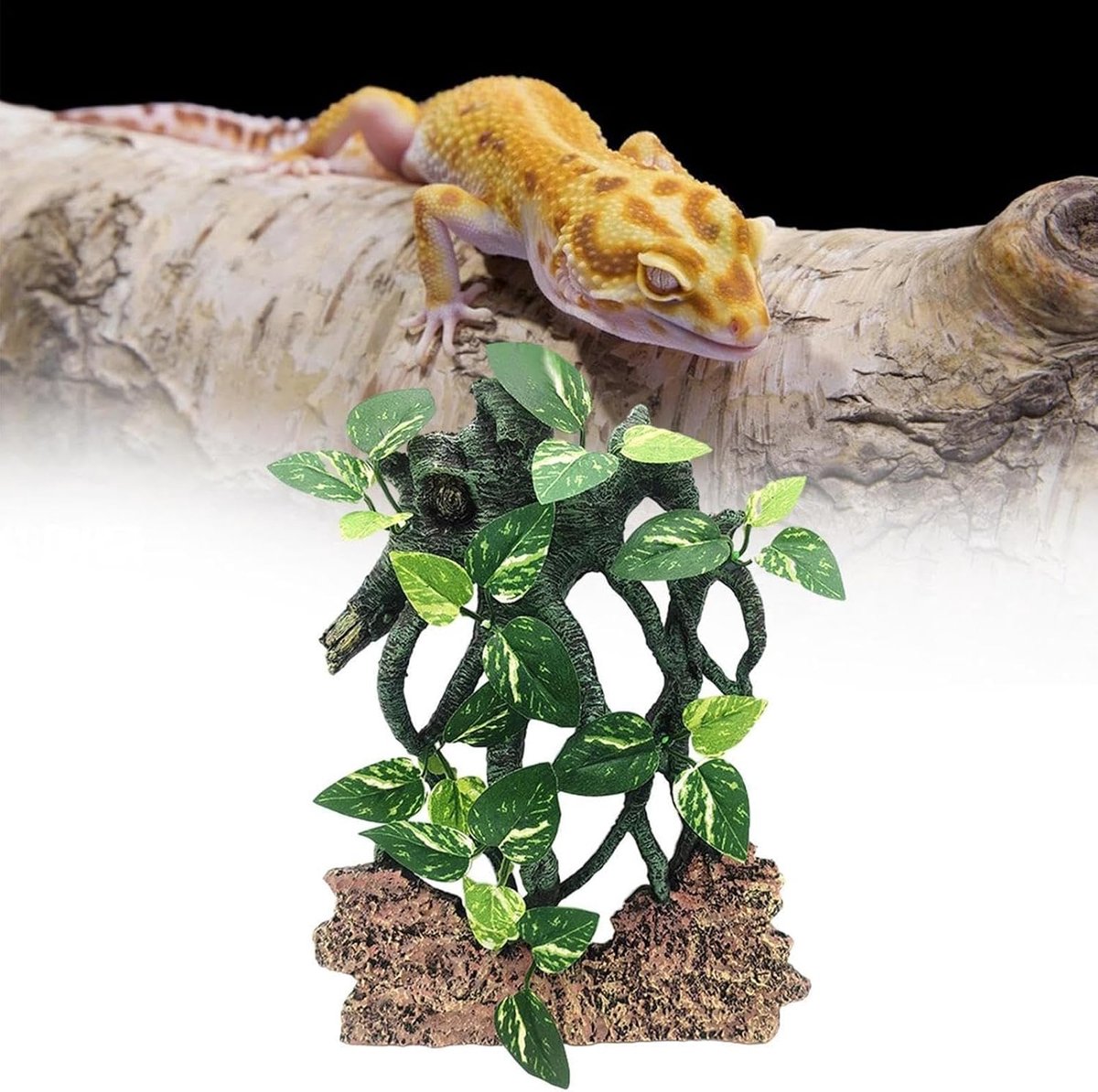 Reptielen Klimtak - Habitat Decoratie - Reptielen Verrijking - Natuurlijke Stijl - 11.4D x 7.2B x 11.4H cm - Niet gespecificeerd