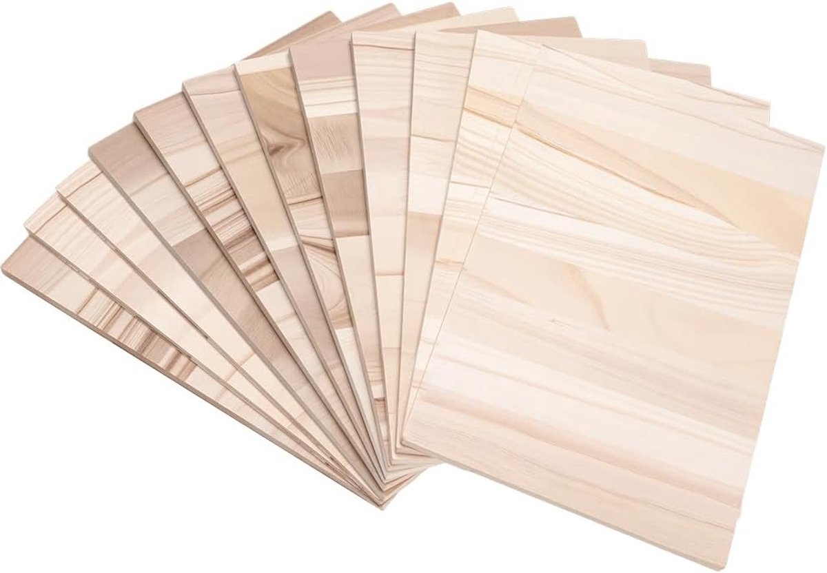 12 Stuks Houten Breekplanken voor Karate en Taekwondo - Ideaal voor Training en Oefeningen 30 x 20 cm