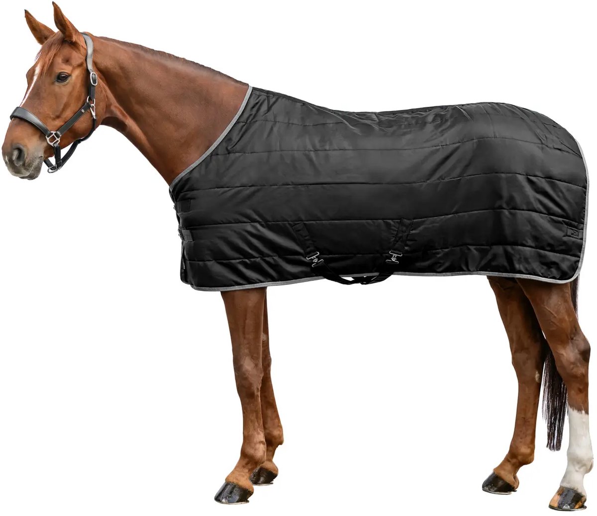 Paardendeken Waldhausen Economic 200g