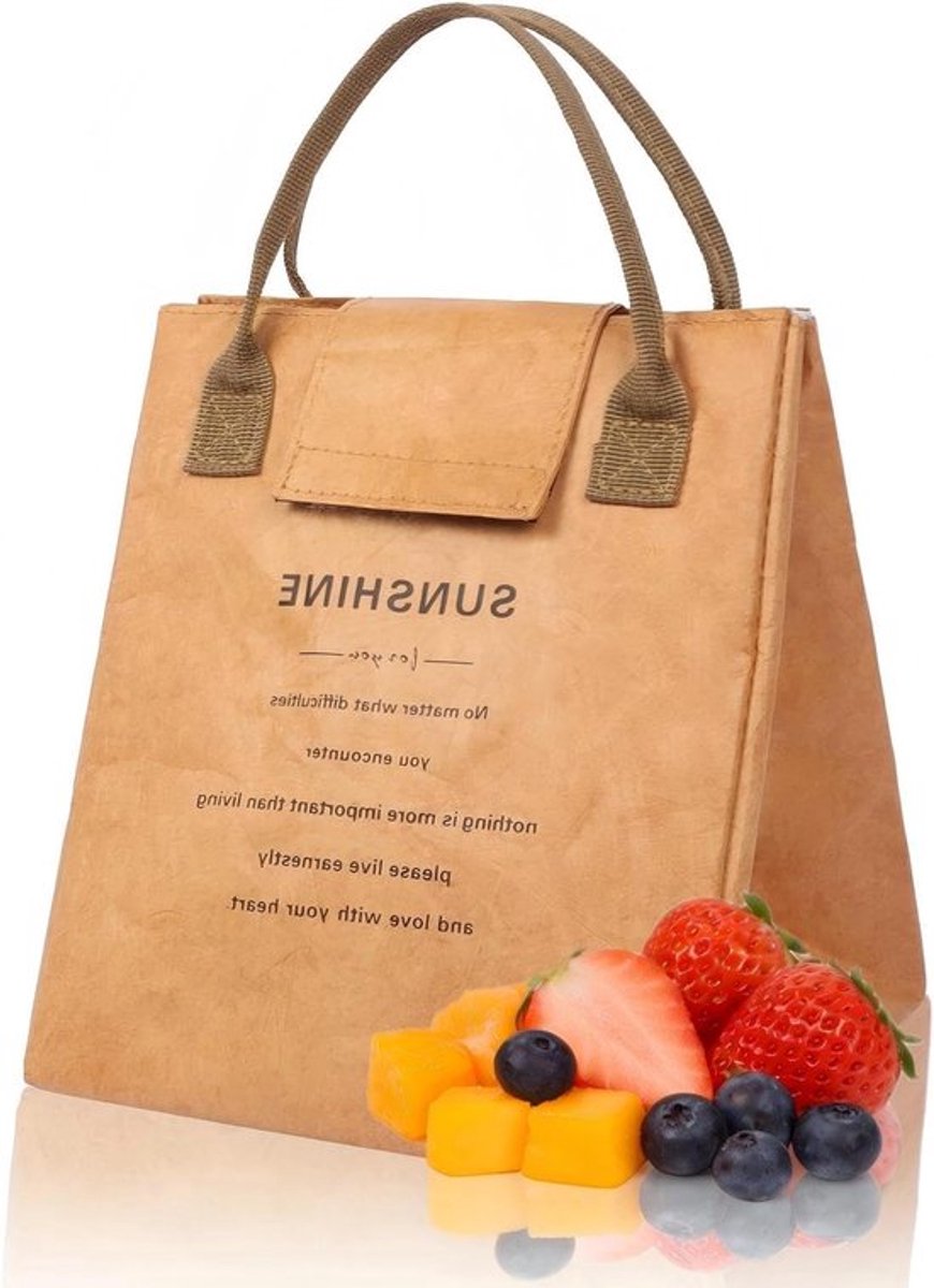 Isolerende Lunchtas - Waterdichte Koeltas voor Volwassenen, Kinderen en Studenten - Ideaal voor Werk, School, Picknick en Reizen