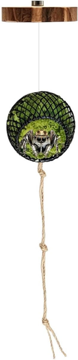 Spinnen Habitat Accessoires - Klimdecoratie Terrarium - Verrijking Huisdier - Natuurlijke Wijnstructuur - 70 g - Zwart