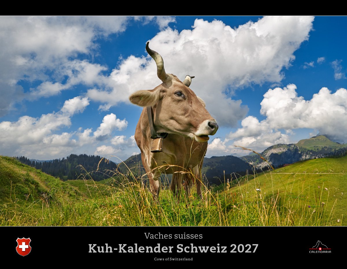 Calendaria - Wandkalender - Kuh Kalender 2027- Zwitserland - Kalender - Formaat: 40 x 31 cm