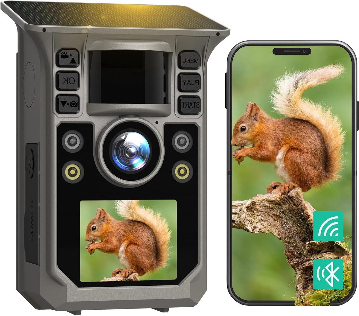 Wildcamera - Nachtzicht Camera - Dieren Observeren - 4K Video 64MP Foto - 64GB Geheugen - Bruin