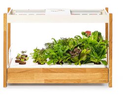 Click & Grow 25 – Slimme binnenkweektuin – 25 planten – Automatische bewatering – LED-groeilampen – Wit