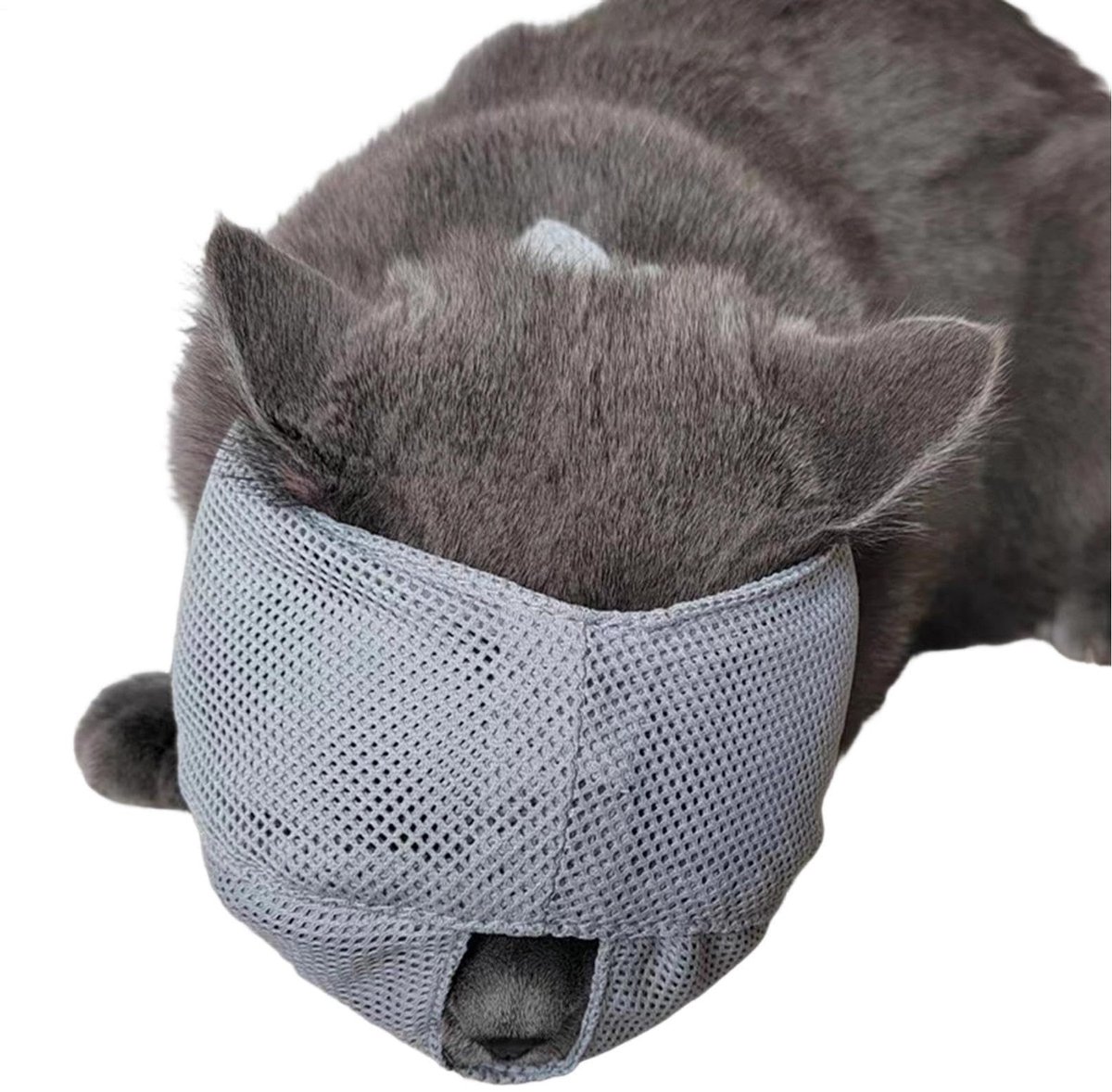 SolidKeus - Muilkorf voor Katten en Kittens