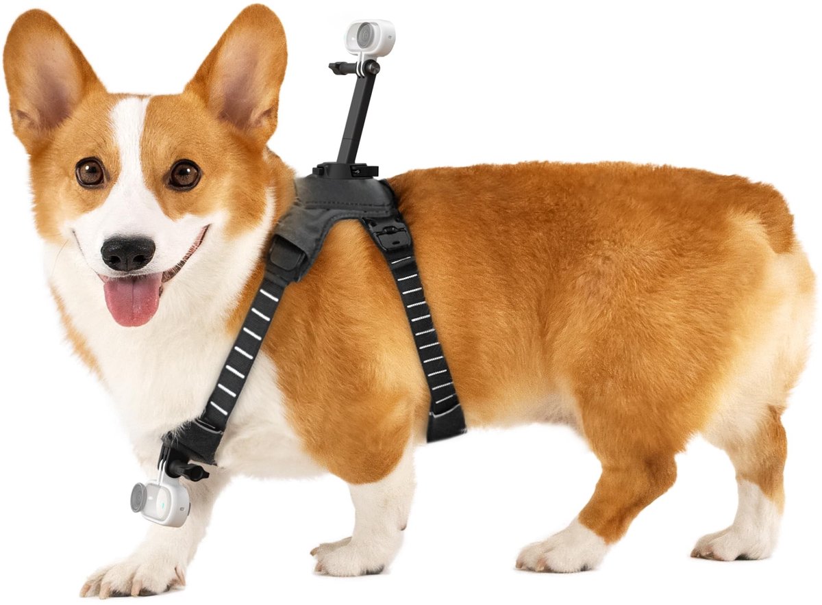 SolidKeus - Pet Harness Mount voor Insta360 Camera's