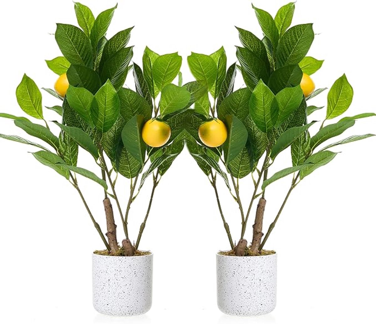 HOERFURIY kunstcitrusplant set van 2 stuks - 50 cm groen PEVA - kunst citroentakken voor thuis en kantoor