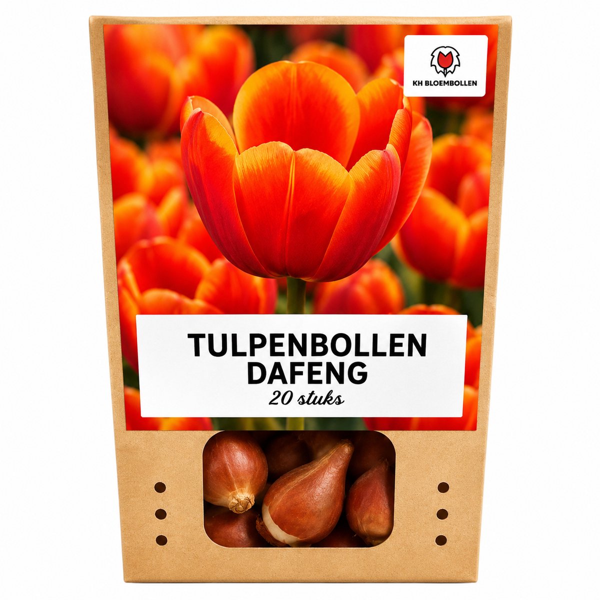 Tulpenbollen Dafeng – 20 Stuks | KH Bloembollen® | Oranje Tulp – Grootbloemig & Prachtig – Cadeau voor Tuin of Pot – Maat 11/12 – Vers van de Teler!