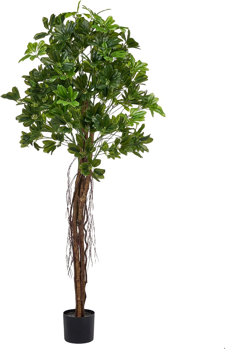 UMBRELLA TREE - Kunstplant - Groen - Synthetisch materiaal