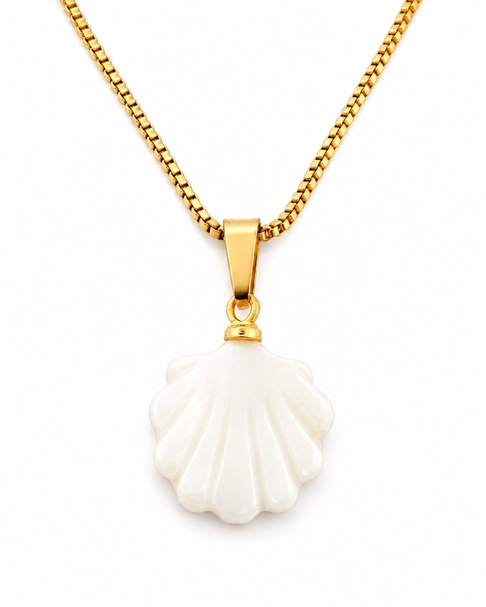 Goudkleurige stalen venetiaanse dames ketting collier 45cm met shell hanger van echte schelp
