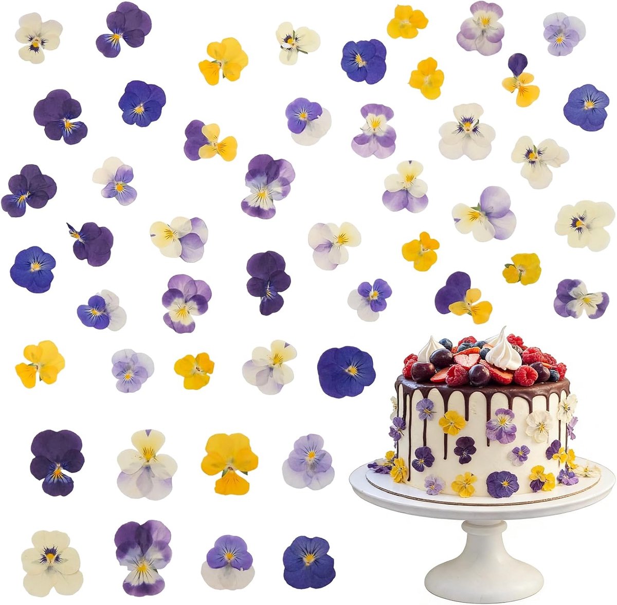 SnelShoppen - Natuurlijke Gedroogde Viooltjes 40 Stuks - Eetbare Bloemen voor Cocktails, Cupcakes, Kaarsen & DIY Craftprojecten - Lifelike Decoratie v