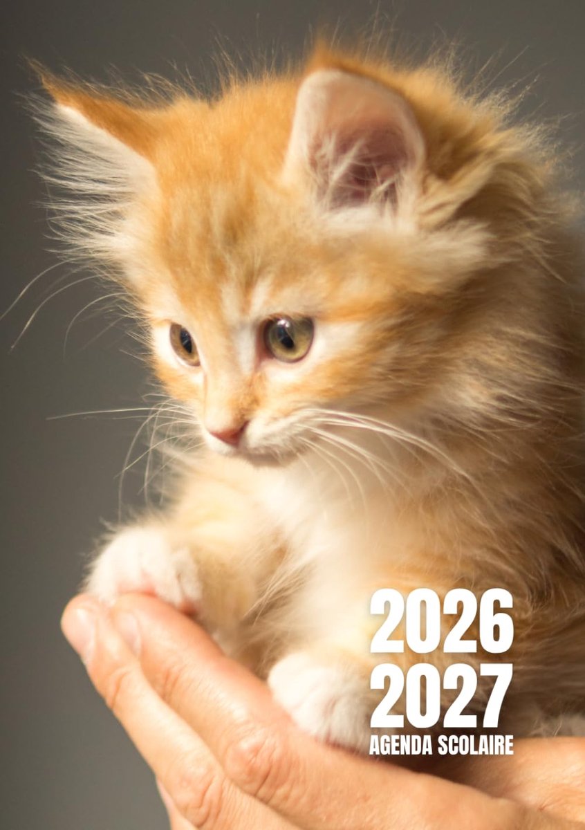 SnelShoppen - Agenda scolaire 2026 - 2027 | Dagagenda met één pagina per dag | Ideaal voor studenten, leerlingen van de basisschool, middelbare school
