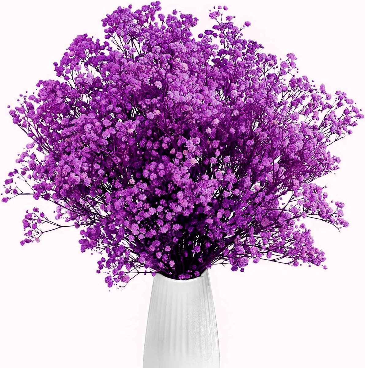 SnelShoppen - Gedroogde Gypsophila Paars 43cm - Dried Gypsophila Natuurlijke Bloemen voor Bruiloft, Feest, Kransen, Thuisdecoratie