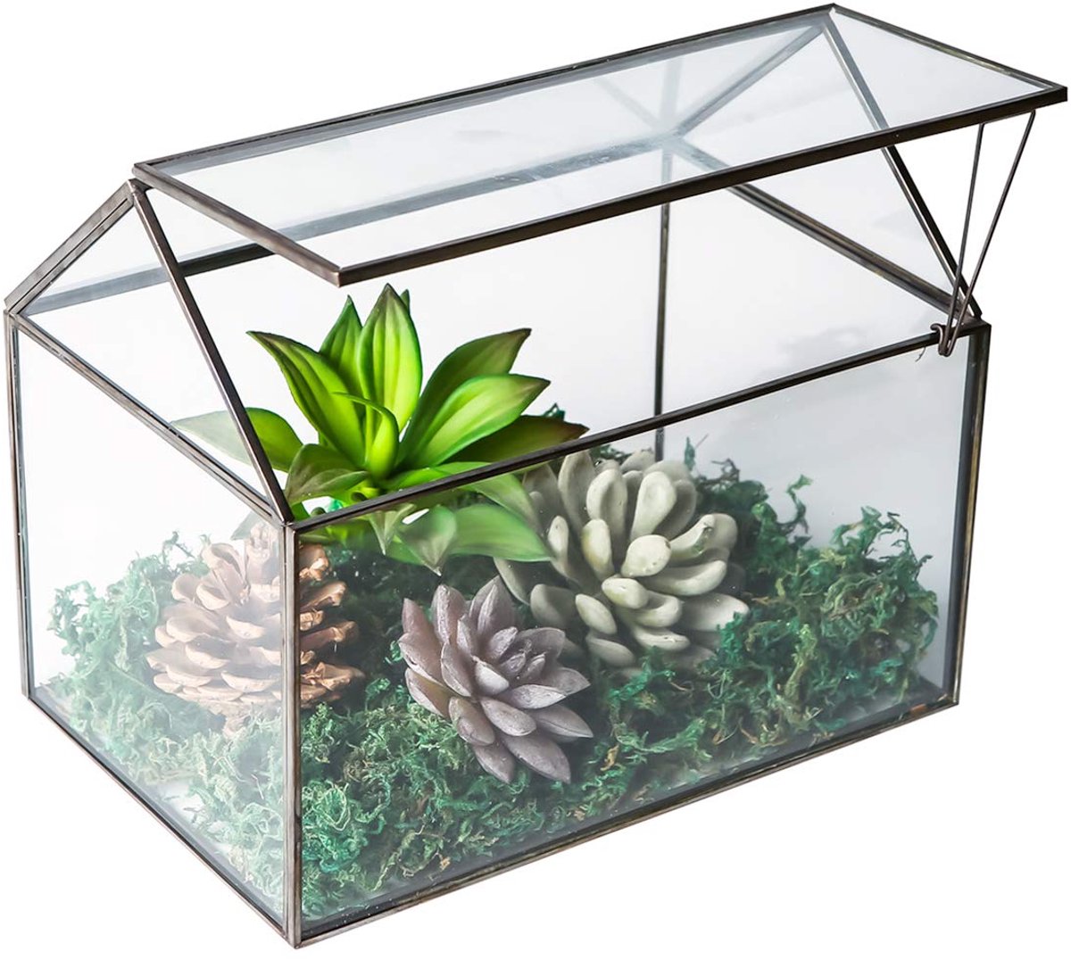 SnelShoppen - Huisvorm Geometrisch Terrarium voor Succulenten en Mosvaren, Zwart Glas Tafelblad, Decoratieve Bloempot voor Huis en Tuin, Ideaal voor R