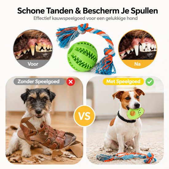 Voor en na: hond met schoen vs. hond met groen speelgoed. Honden met schoongebit.