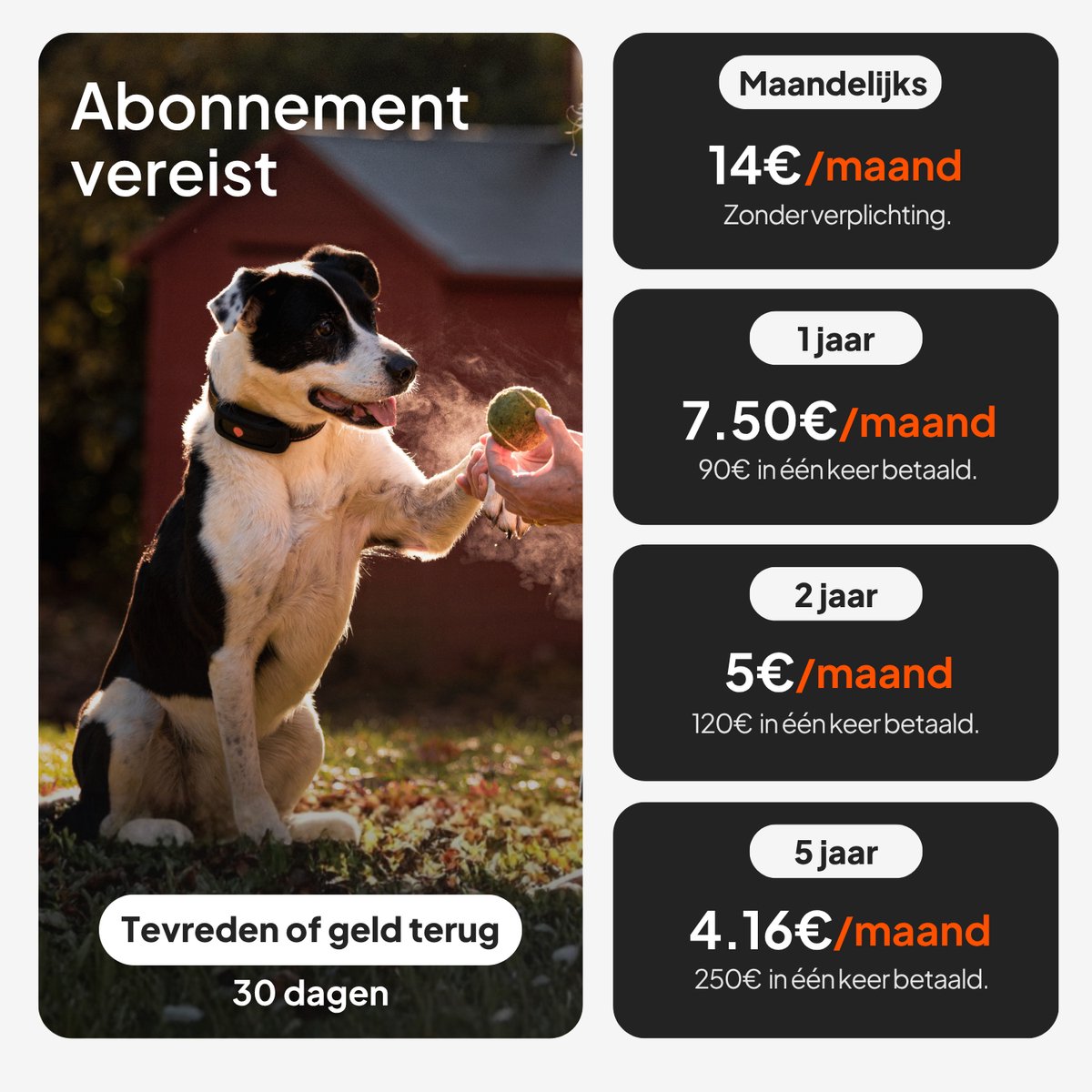 Weenect Dog XT Black Collar - NIEUWE GPS-hondenhalsband | XL-antenne | Waterdicht | Ultra-duurzame geïntegreerde Julius-K9-halsband | Abonnement vereist | Levenslange garantie thumbnail 8