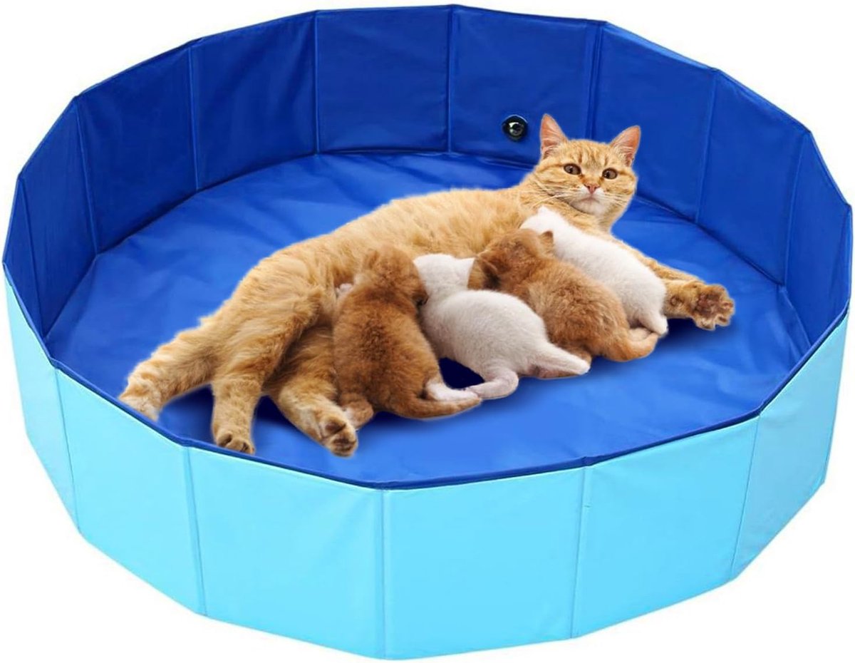 Opzetzwembaden - zwembaden - zwembad rond - Opzetzwembad - Swim Center Family Lounge Pool - Opvouwbaar Hard Kunststof - Opzetbad - Zwembad voor Kinderen - Zwembad voor Kinderen - 80x30CM
