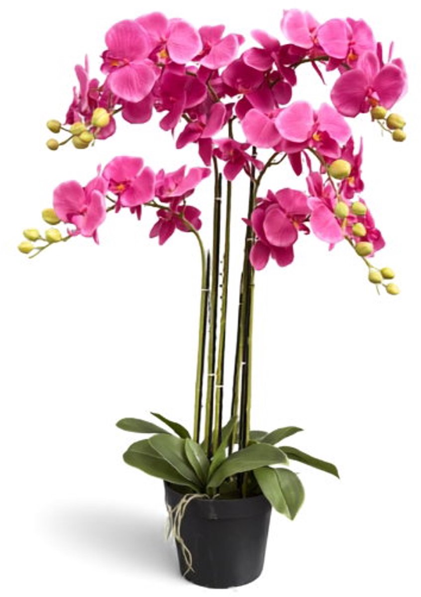 Orchidee fuchsia in pot H 85 cm kunstplant Oosterik Home