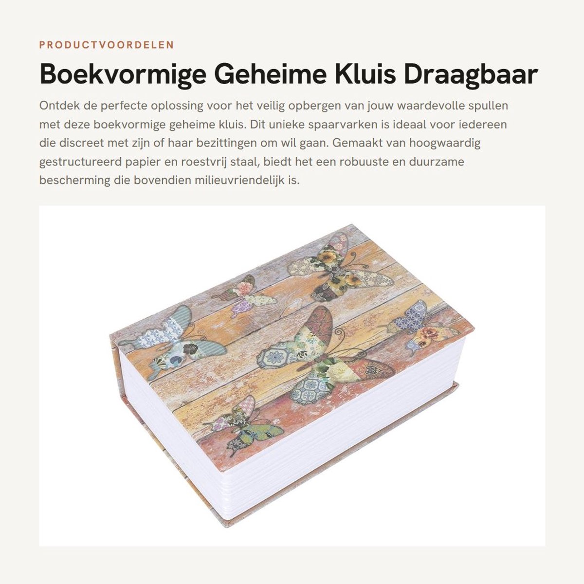 Inovra- Geheime Kluis Draagbaar - Spaarvarken - Spaarpot - Opbergkluis - Roestvrij Staal - 18,2 x 11,8 x 5,7 cm