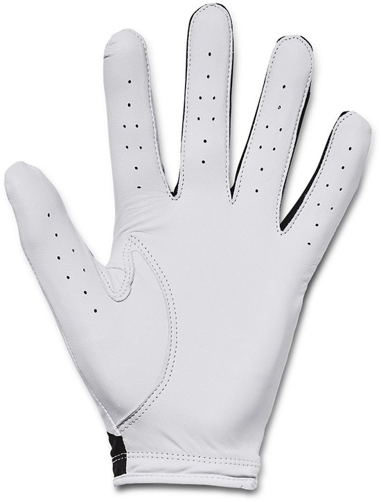 Under Armour Heren Golfhandschoen Iso Chill Rechterhandschoen (linkshandige speler) Mt. L van Under Armour — afbeelding 4