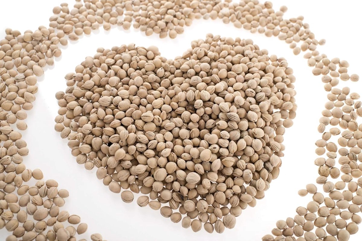 Thijox - Kersenpitten Kussen 1 kg - Natuurlijke Kussenvulling voor Warmtekussen, Ergotherapie, Zacht, Chemisch Vrij, Warmte en Koude Compres voor Buik