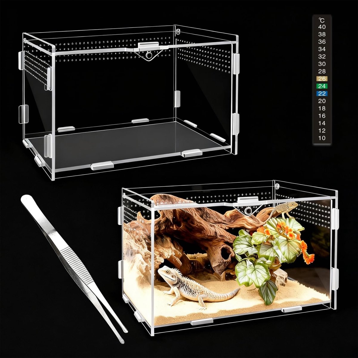Dailygoods - 360° terrarium voor reptielen acryl, 20 x 12 x 12 cm, terrarium-acryl, transparant, fauna box, ademende hoes voor reptielenteelt, kunststof hoes voor schorpioenen, duizendpoten