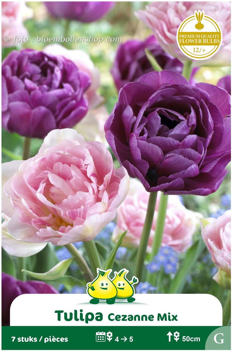 2 Zakjes Dubbele Tulpen Angelique en Lilac Perfection mix maat 12/+