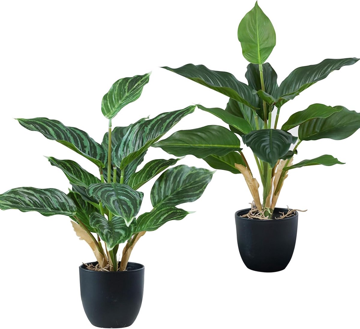 Thijox - 2 stuks kunstplanten 36 cm met pot, realistische nepplanten voor badkamer, kantoor, keuken, decoratie met groene bladeren, onderhoudsvrij, id