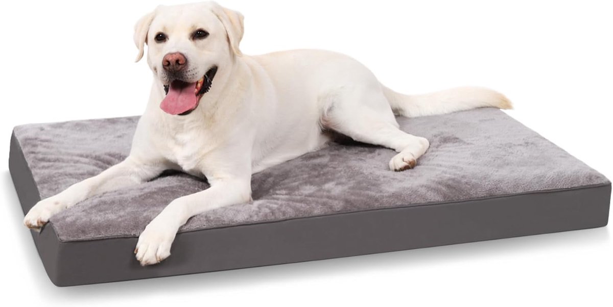 Extra klein hondenbed, wasbaar, maat S, orthopedische hondenmanden met waterdichte, afneembare hoes, plat hondenmatras met antislip onderkant, huisdierbedden voor honden, grijs, 58 x 43 x 7 cm