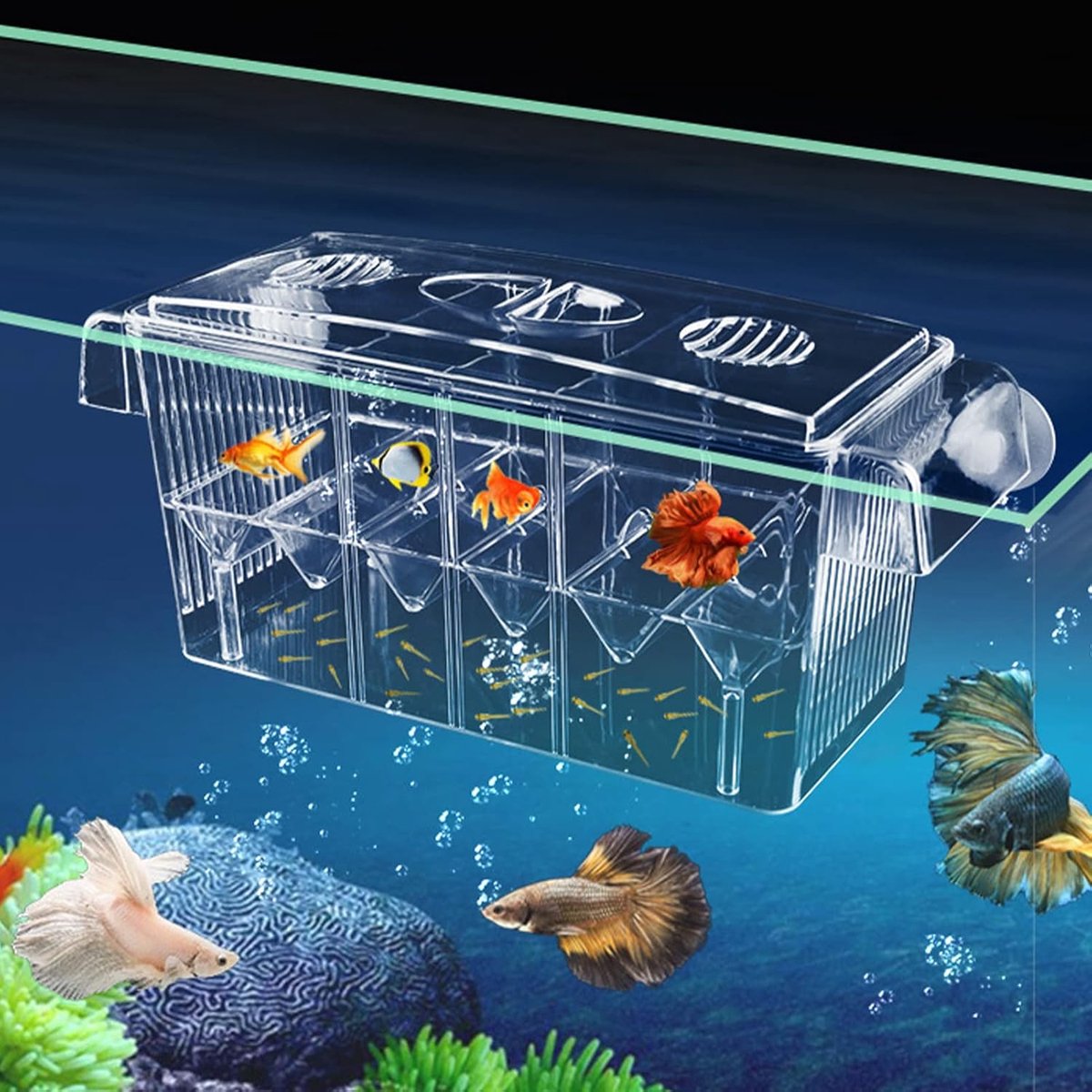Aquarium Klein Aquarium Hutement Transparant Bottom de Nidification de Poissons Auto-Nageant Double Couche Berceau Pour la Pisciculture Aquarium Incubateur