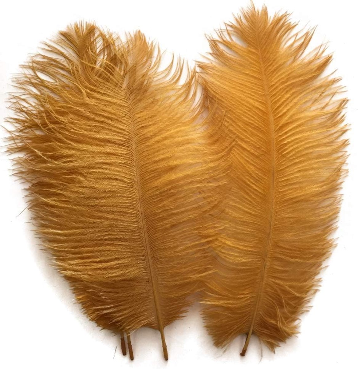 Goud 10-12 inch 25-30 cm Struisvogelveren Woondecoratie DIY Craft Pack van 10