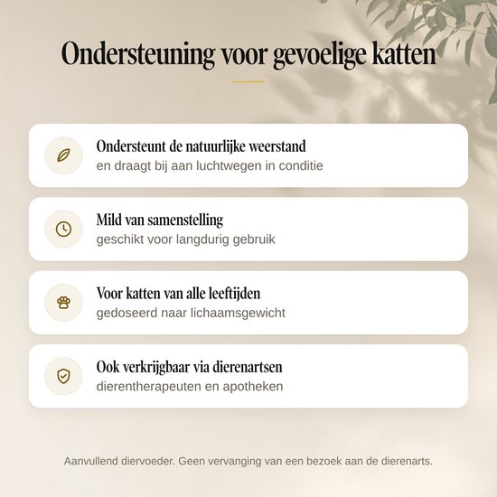 Vier rechthoeken met tekst en iconen. Tekst boven: Ondersteuning voor gevoelige katten. Teksten in rechthoeken gaan over weerstand, samenstelling, leeftijd en verkrijgbaarheid.