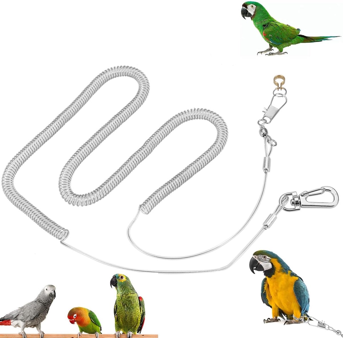 Papegaai, 6 m Papegaaien Vogel Anti-bite Vliegende Training Touw Leash Kits Huisdier Leash Kits voor Ara Valkparkiet Dwergpapegaai Valkparkiet Ara(8.5MM+6M)