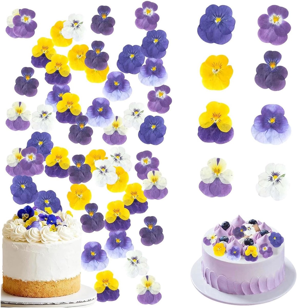 8 soorten natuurlijk gedroogd, 40 stuks geperste bloemen, veelkleurige mix altviool driekleur voor taarttopper, decoratie van cocktailhars, sieraden maken, doe-het-zelf kunstambachten