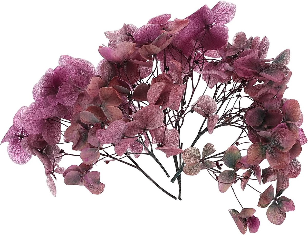 Gedroogde hortensia bloem, 10g natuurlijke geperste bloemen echte hortensia's bloemblaadjes voor doe-het-zelf hars ambachten kaart bloemen cadeau kaars maken decor, gradiënt roze grijs