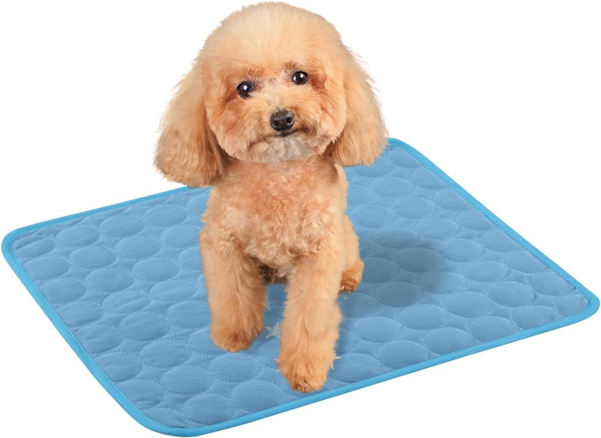 Koelmat voor honden, koelmat voor kat, M-XXL, koeldeken, wasbaar, koeldeken voor huisdieren, voor thuis, onderweg of in de auto (blauw, 55 x 70 cm)