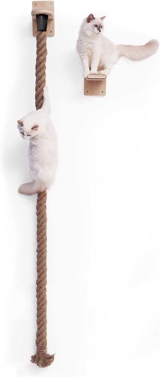 Krabpaal voor katten, muur, klimtouw voor katten, met springkussen voor katten, kattenrekken met klimtouw om de klauwen te krabben, 1,7 m