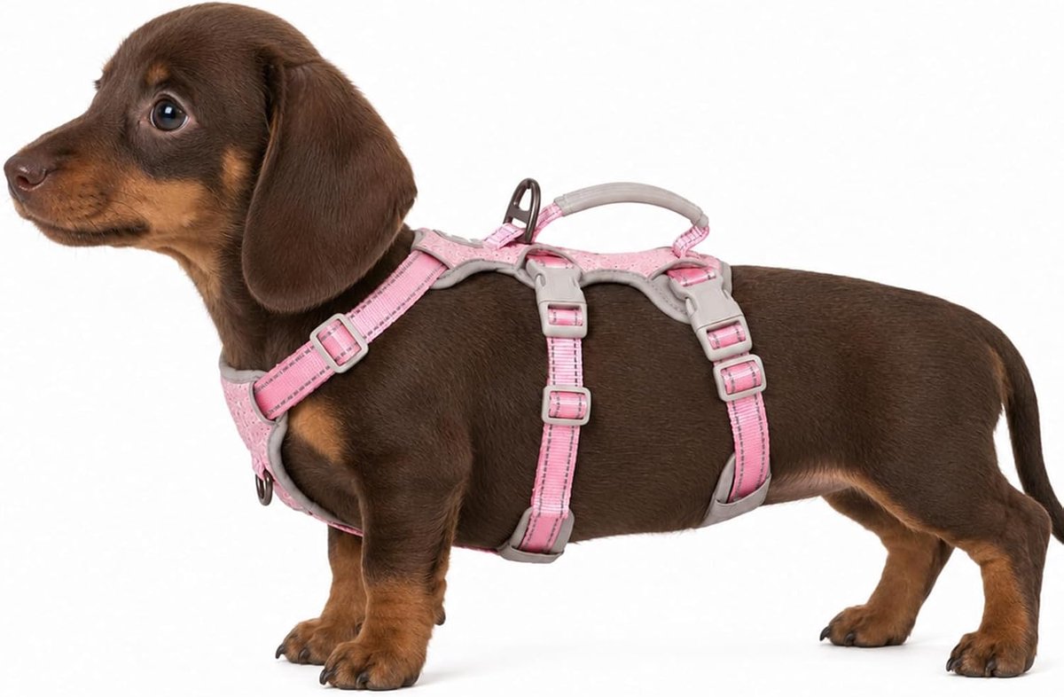 Escape Proof Hondentuig, Ontsnappingskunstenaarsharnas, Volledig Reflecterend Harnas met Gevoerd Handvat, Verstelbaar Vest voor Kleine Honden Wandelen, Hardloopuitrusting (Roze,XS)