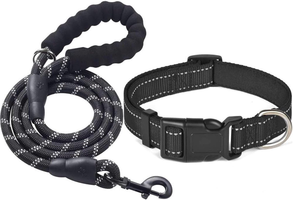 Hondenhalsband en Riem Set - Verstelbare Halsband, Duurzame Nylon Riem voor Middelgrote en Grote Honden, IJzer, L