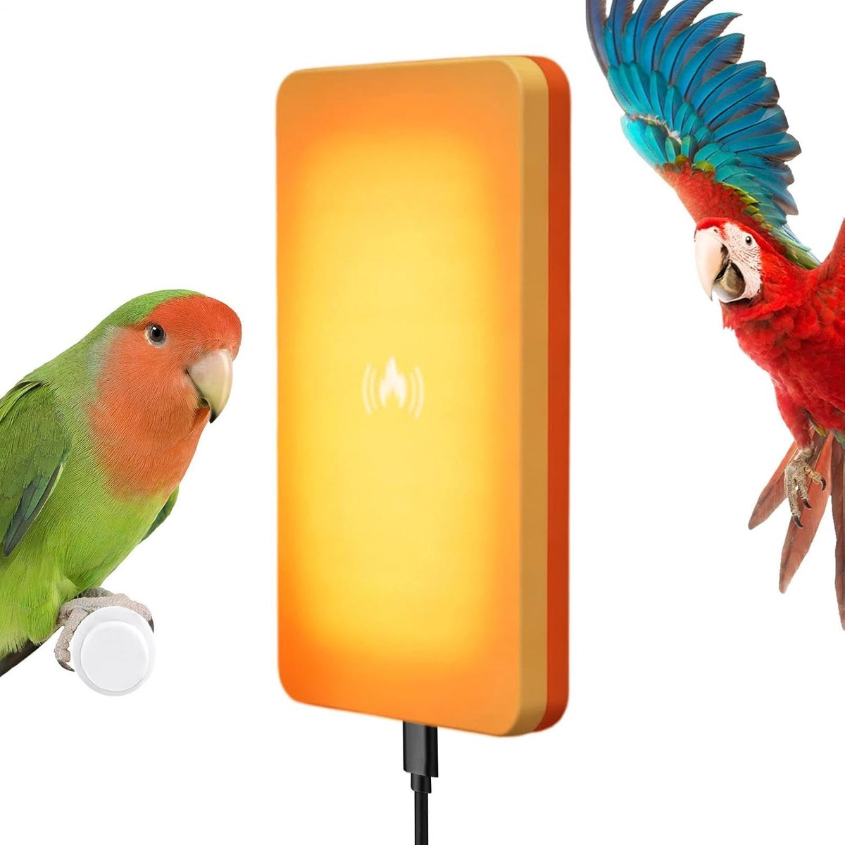 Vogelkooi Verwarming - Knaagbestendige Verwarming - Kleine Dieren Warm Houden - Intelligen