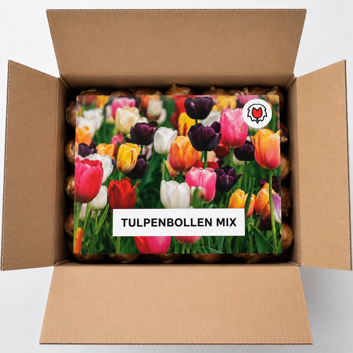 KH Bloembollen Tulpenbollen Mix - 100 Stuks - Winterhard - Maat 11/12