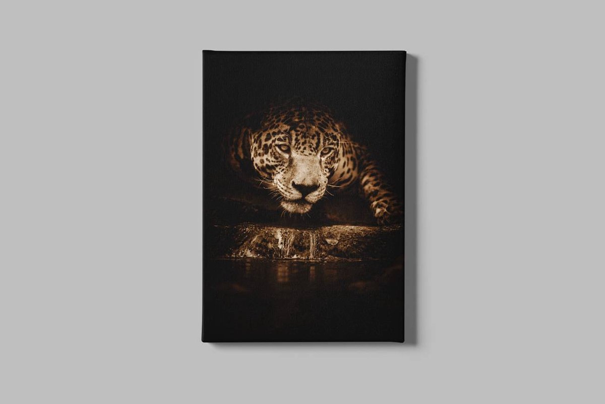Canvas Schilderij Luipaard – Wilde Dieren Kunst – Luxe Wanddecoratie - 90 x 60 cm