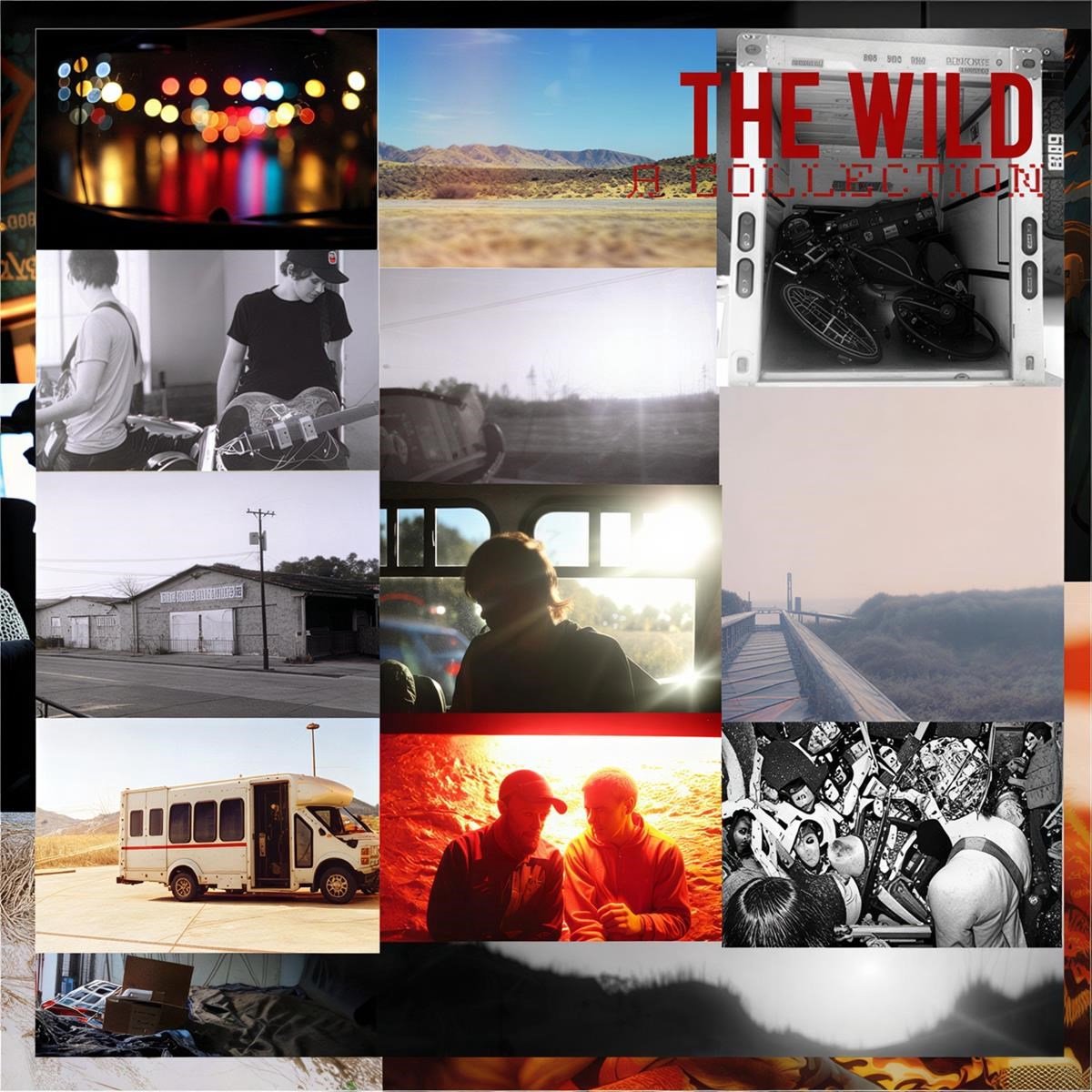 The Wild - A Collection (CD)
