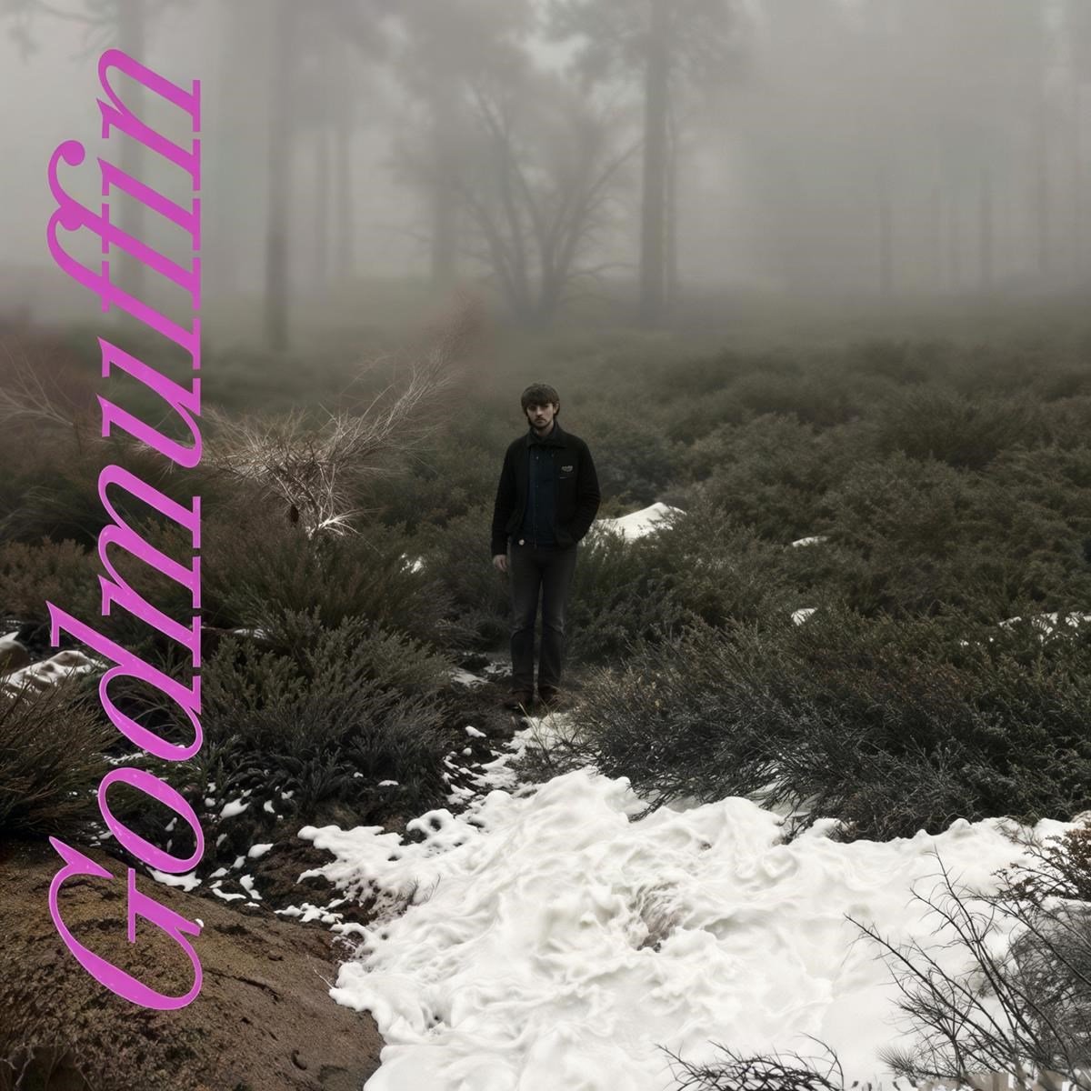 Mike Viola - Godmuffin (LP)