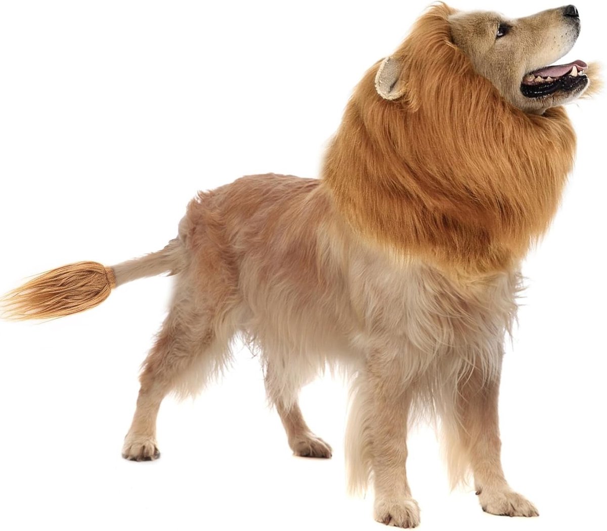 Halloween Kostuum voor Honden met Realistische Leeuwenkapsel voor Middelgrote en Grote Honden, Perfect voor Foto's en Feestjes (Lichtbruin, M)