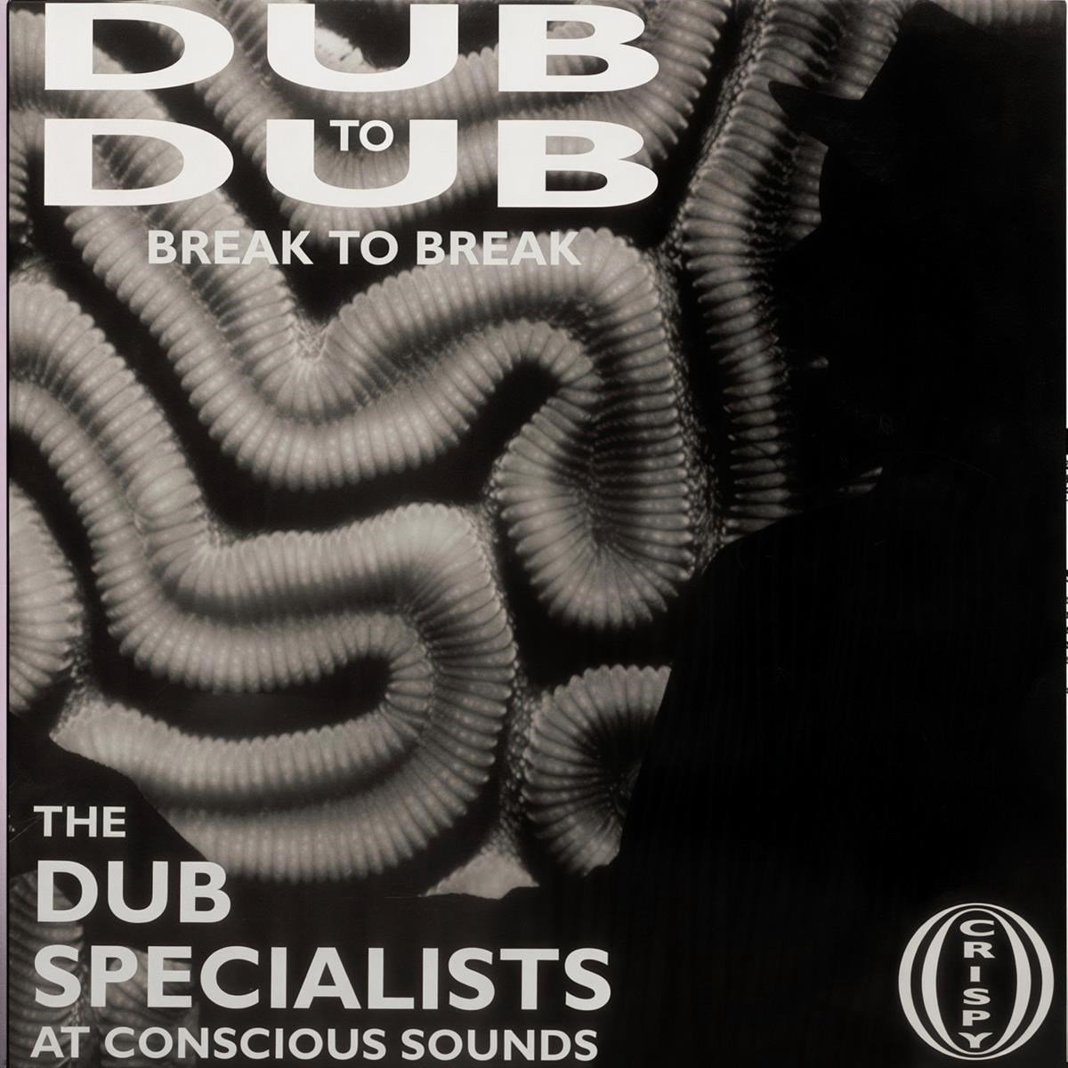 The Dub Specialists - Dub To Dub Break To Break (LP) (Coloured Vinyl) (Limited Edition)