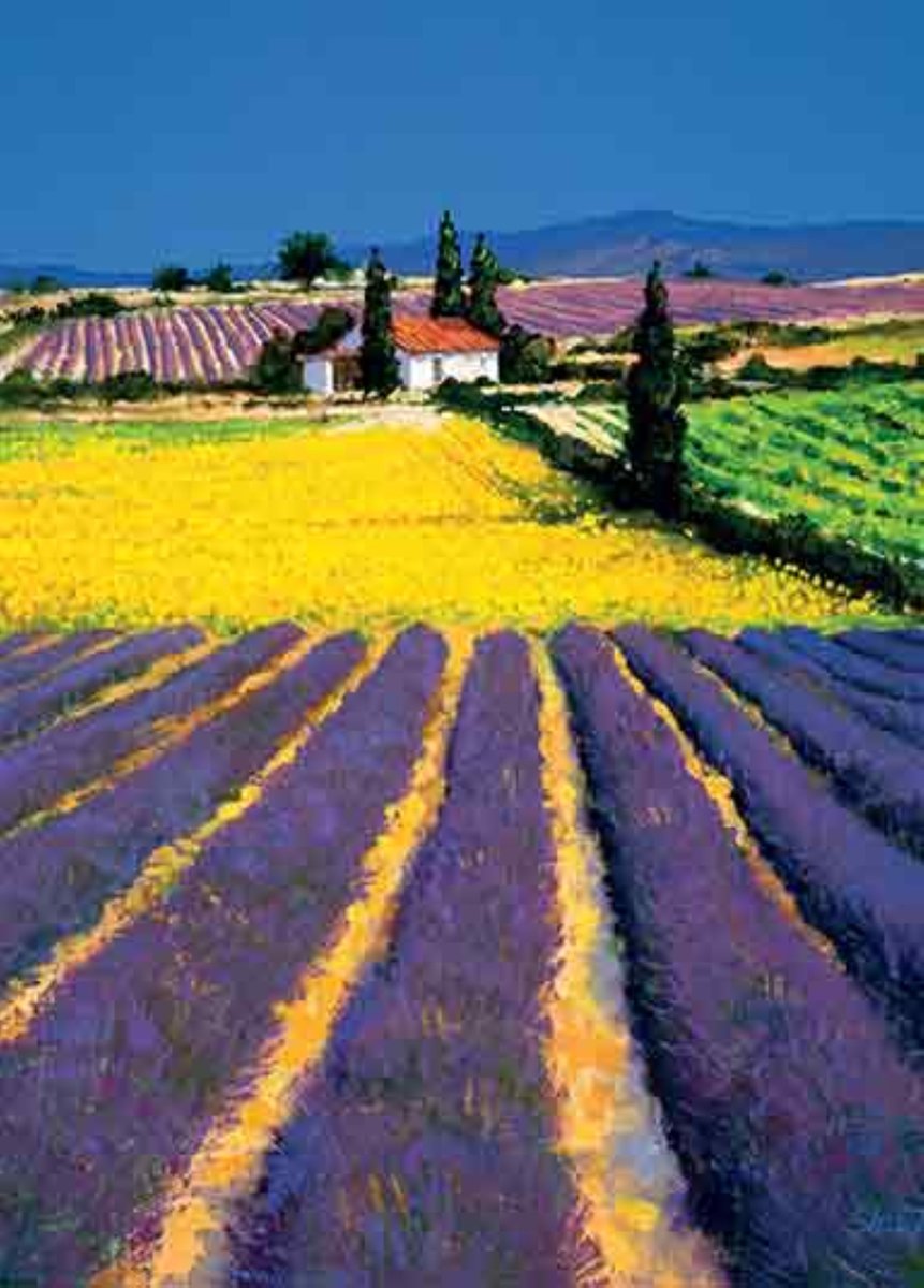 Luxe Wenskaart Artige Kunst a la Carte - Wenskaarten - Kunstkaart - Lavendel Velden - Lavender Fields - Steve Toms - Serie Tracks Art - Artige - Kaart - 1 Stuks - In Folie - Gratis Verzonden - Hoge Afnamekortingen - 12x17cm