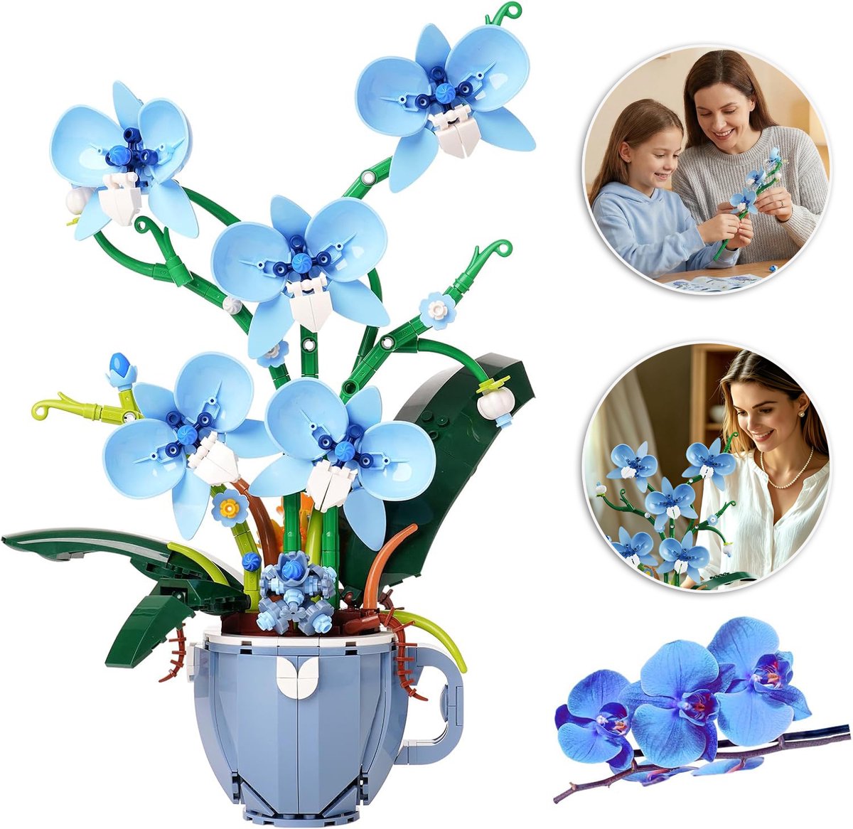 Ingemaakte Orchidee-Bouwsteenset DIY-Montagespeelgoed - 567 Stuks Realistisch ABS Prachtige Decoratie - Creatief Cadeau Voor Valentijnsdag Verjaardag En Jubileum - Blauw