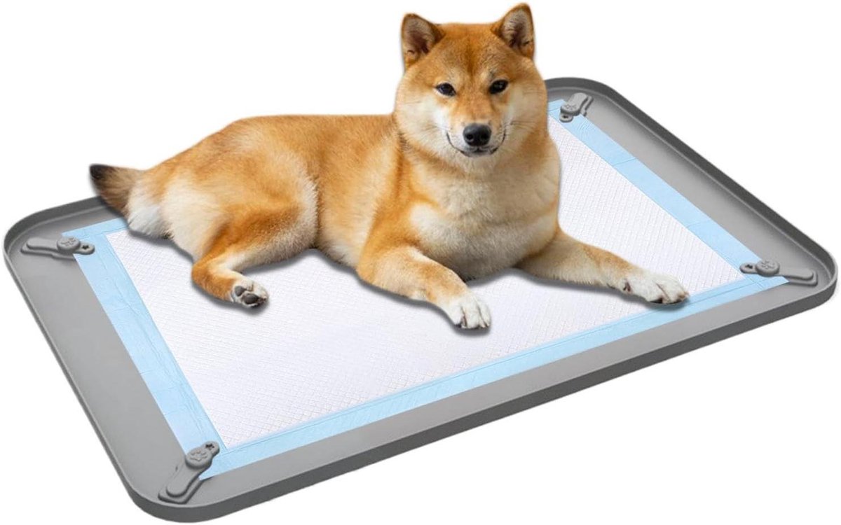 Puppytoilet - Hondenpotje Binnen - Zindelijkheidstraining Puppy - Lekvrije Siliconen Kuip - 62 x 42 cm - Grijs